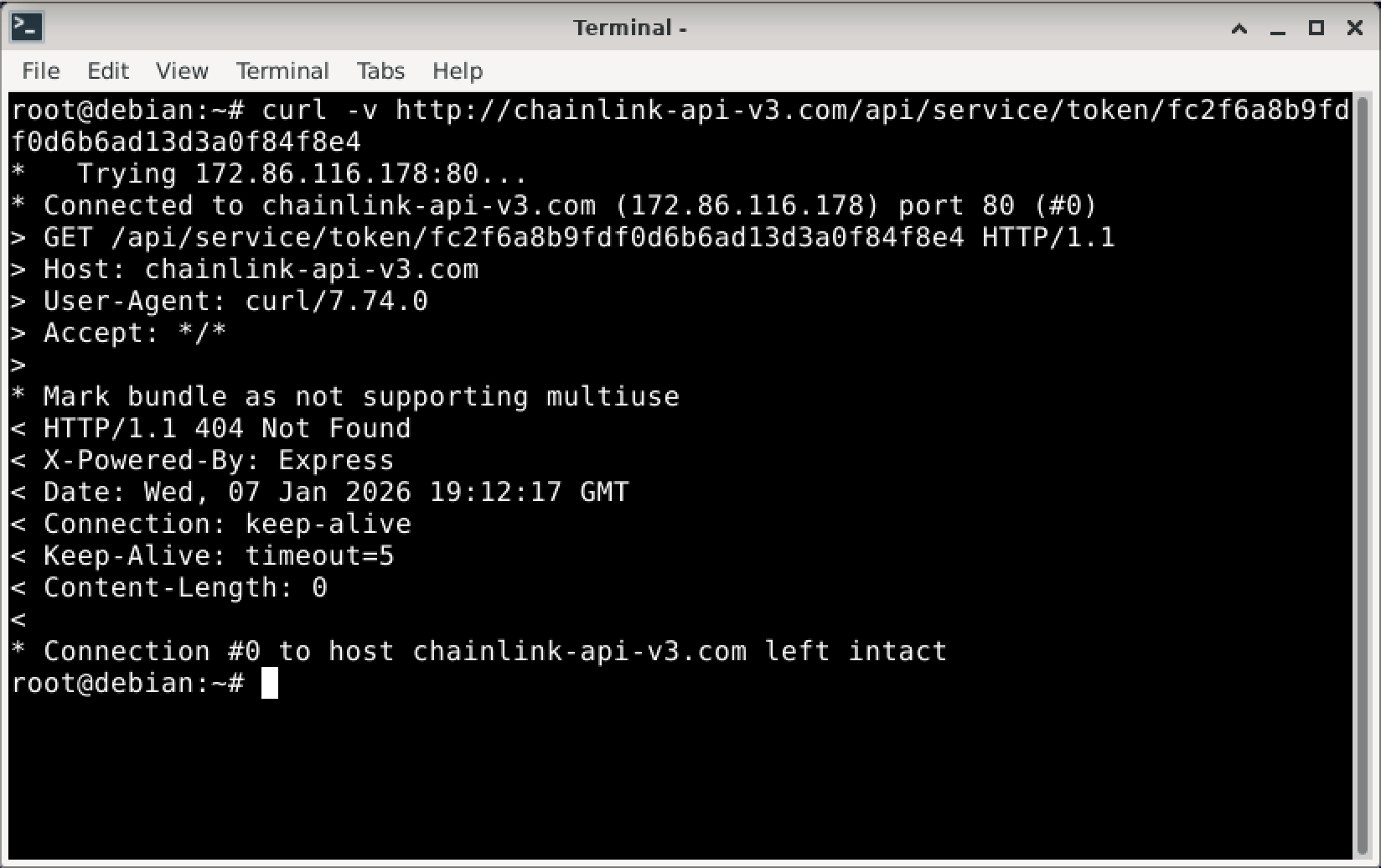 Terminal - curl bez odpowiedzi